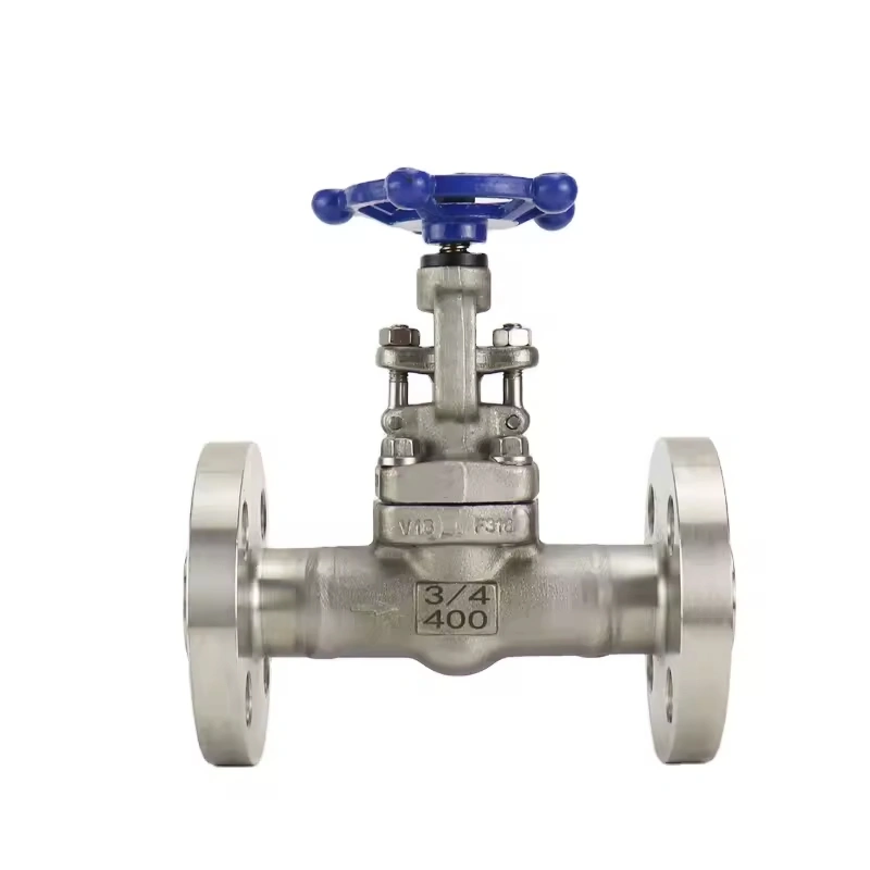 High Quality Flanged Manual Stainless Steel Forged Globe Valve