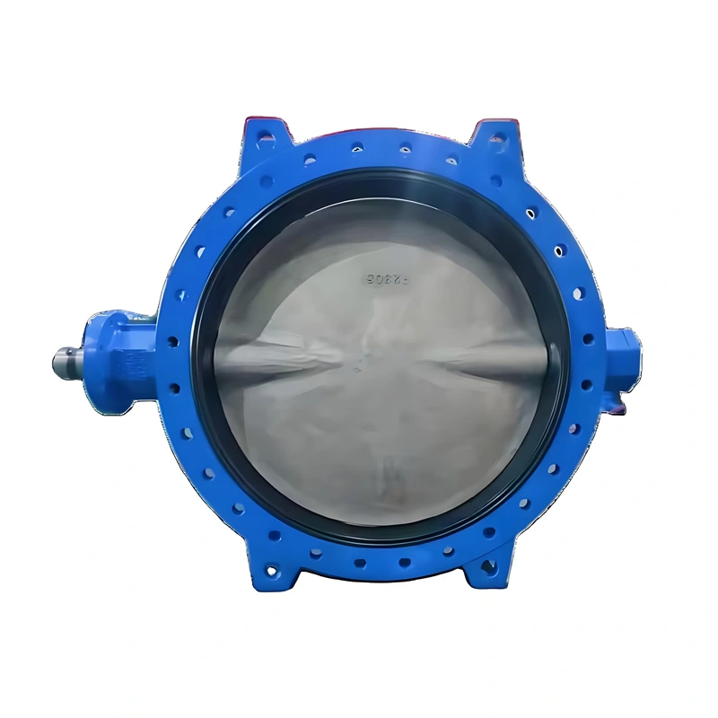 Large-diameter DN300-DN2800 Soft Seal Double Flanged Concentric Butterfly Valve