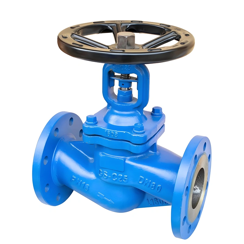 DN15~DN400 PN16~PN64 DIN GS-C25/WCB/Cast Steel Flanged Bellow Seal Globe Valve
