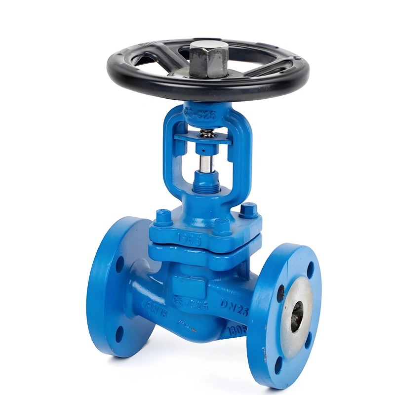 DN15~DN400 PN16~PN64 DIN GS-C25/WCB/Cast Steel Flanged Bellow Seal Globe Valve