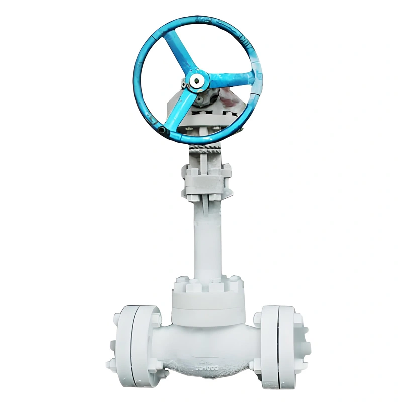 Stainless Steel High Pressure Cryogenic LNG LOX Petrochemical Globe Valve 