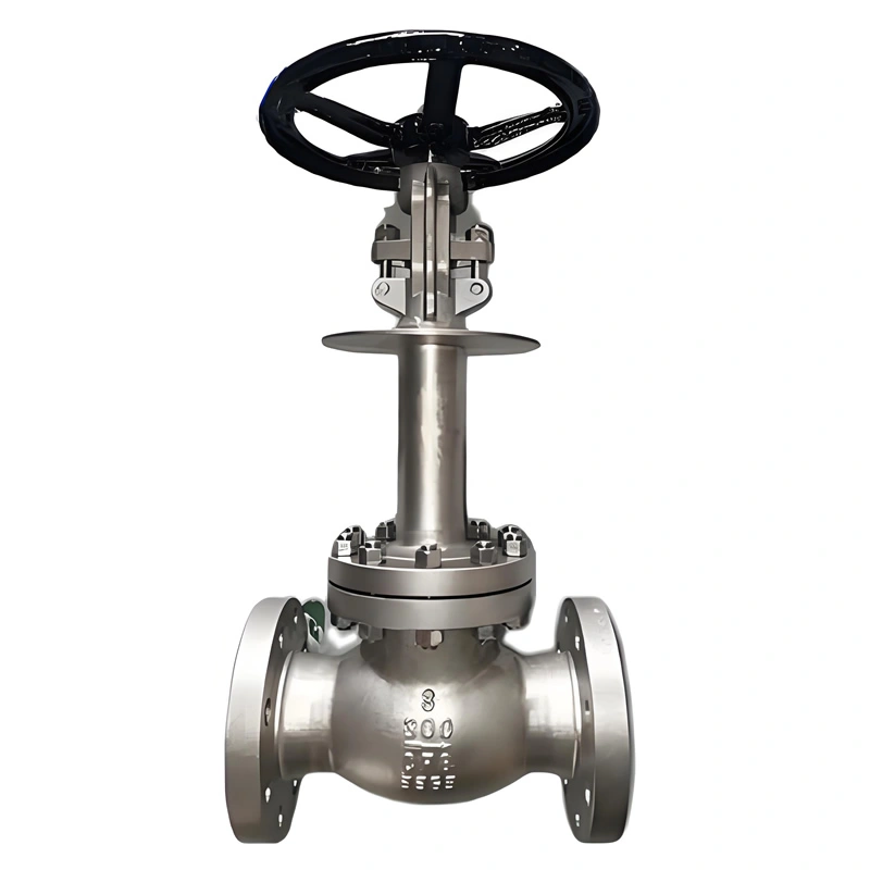 Stainless Steel High Pressure Cryogenic LNG LOX Petrochemical Globe Valve 